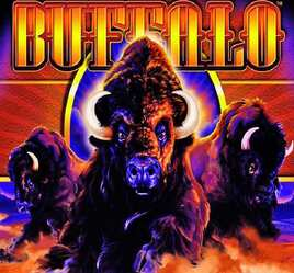 Buffalo Blackjack