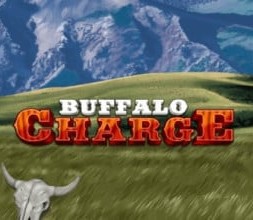 Buffalo Charge